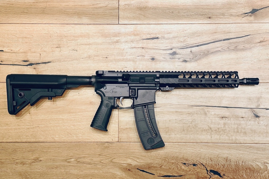 Battle_Arms_Development_Workhorse_17__Rifle__22LR__2